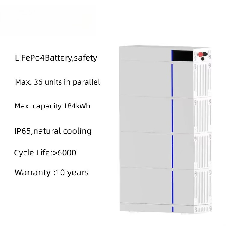 Batterie LiFePO4 de stockage d - Lifepo4 Battery Pack avis et prix