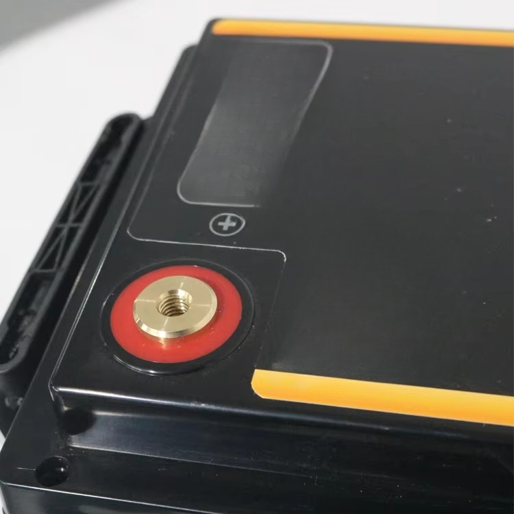 Lifepo4 12 V 100Ah 200Ah 300Ah - Lifepo4 Battery Pack avis et prix