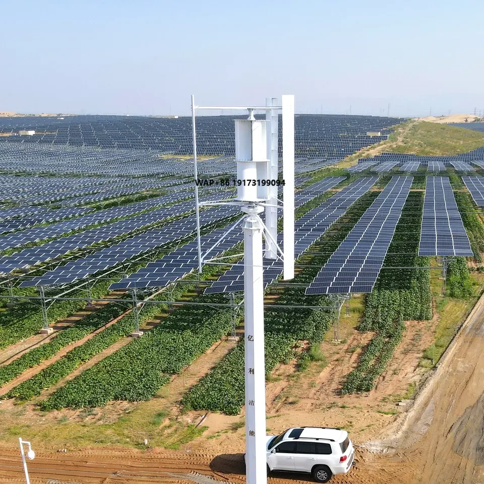 Mini-éolienne de Chine avec gé - Wind Turbine Generator avis et prix